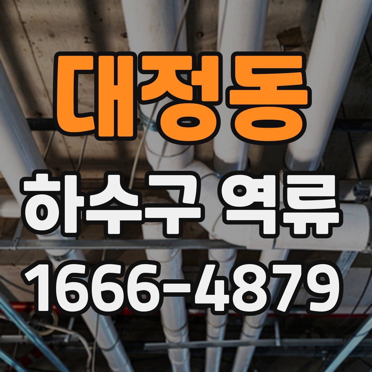 대정동 하수구 역류