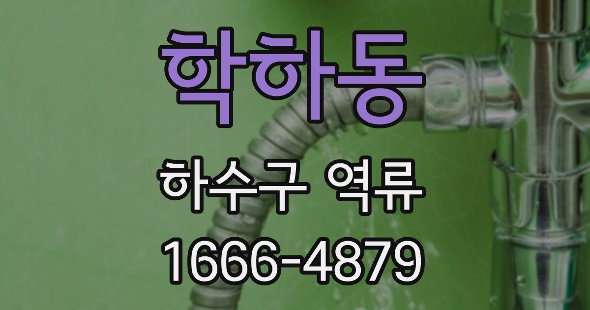 학하동 하수구 역류