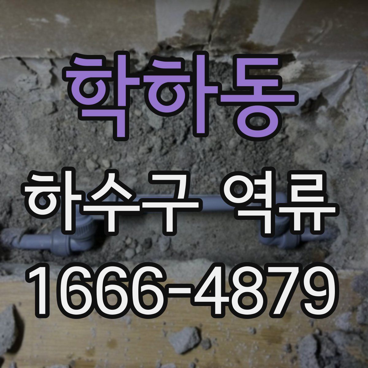 학하동 하수구 역류