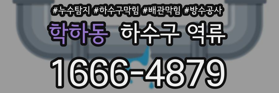 학하동 하수구 역류