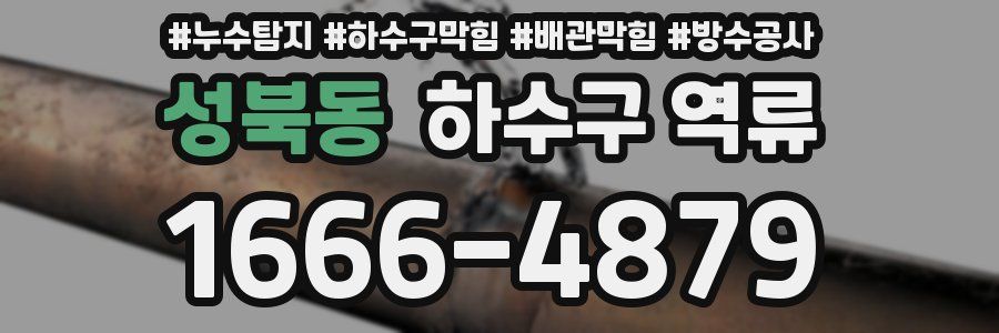 성북동 하수구 역류