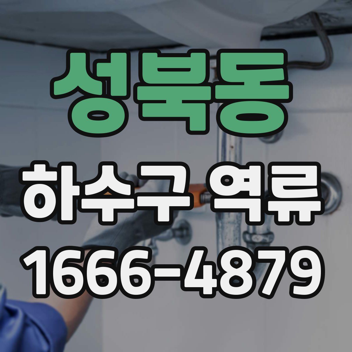 성북동 하수구 역류