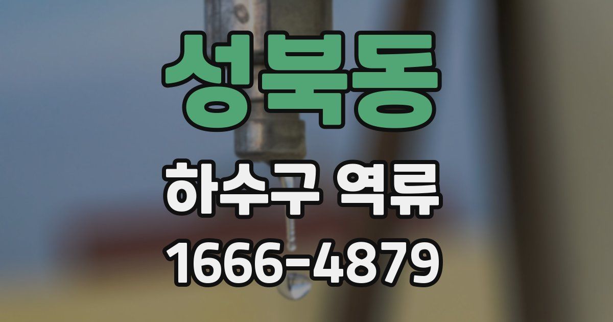 성북동 하수구 역류