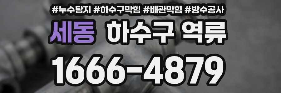 세동 하수구 역류