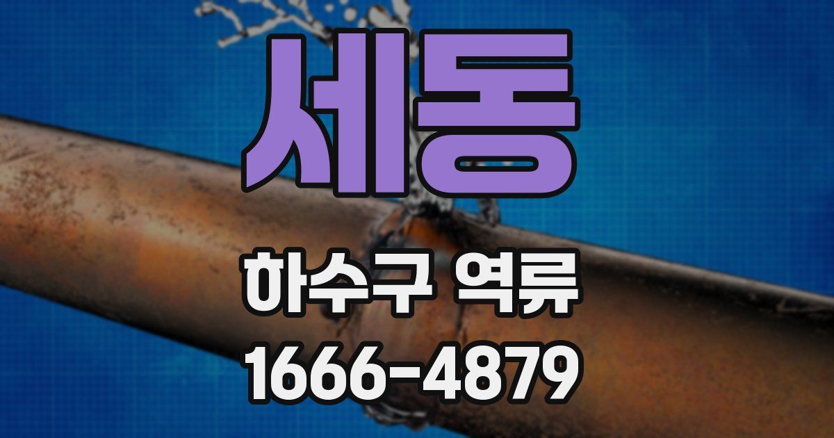 세동 하수구 역류