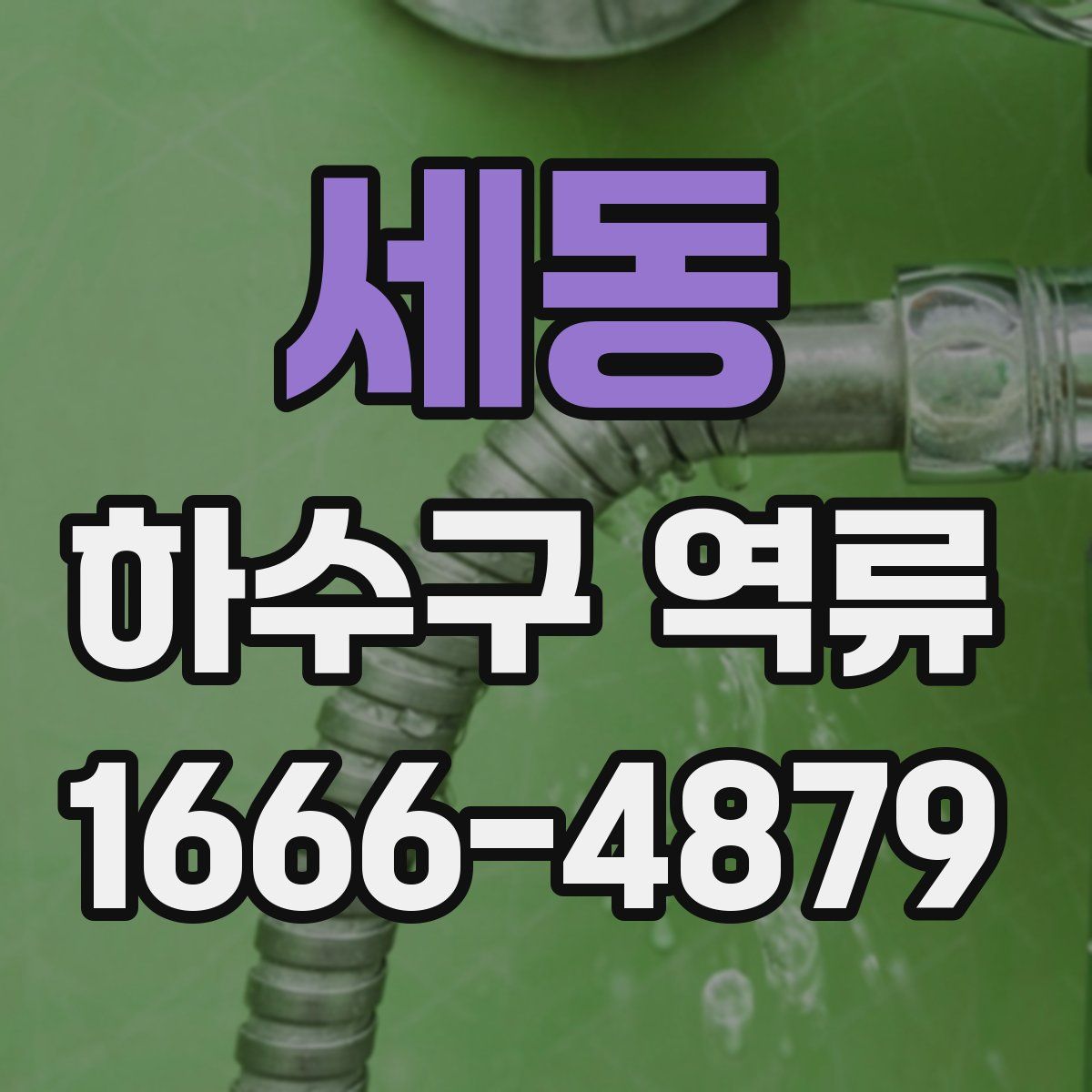 세동 하수구 역류
