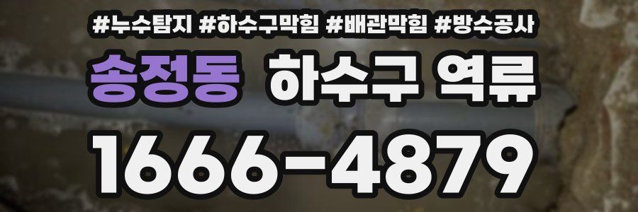 송정동 하수구 역류