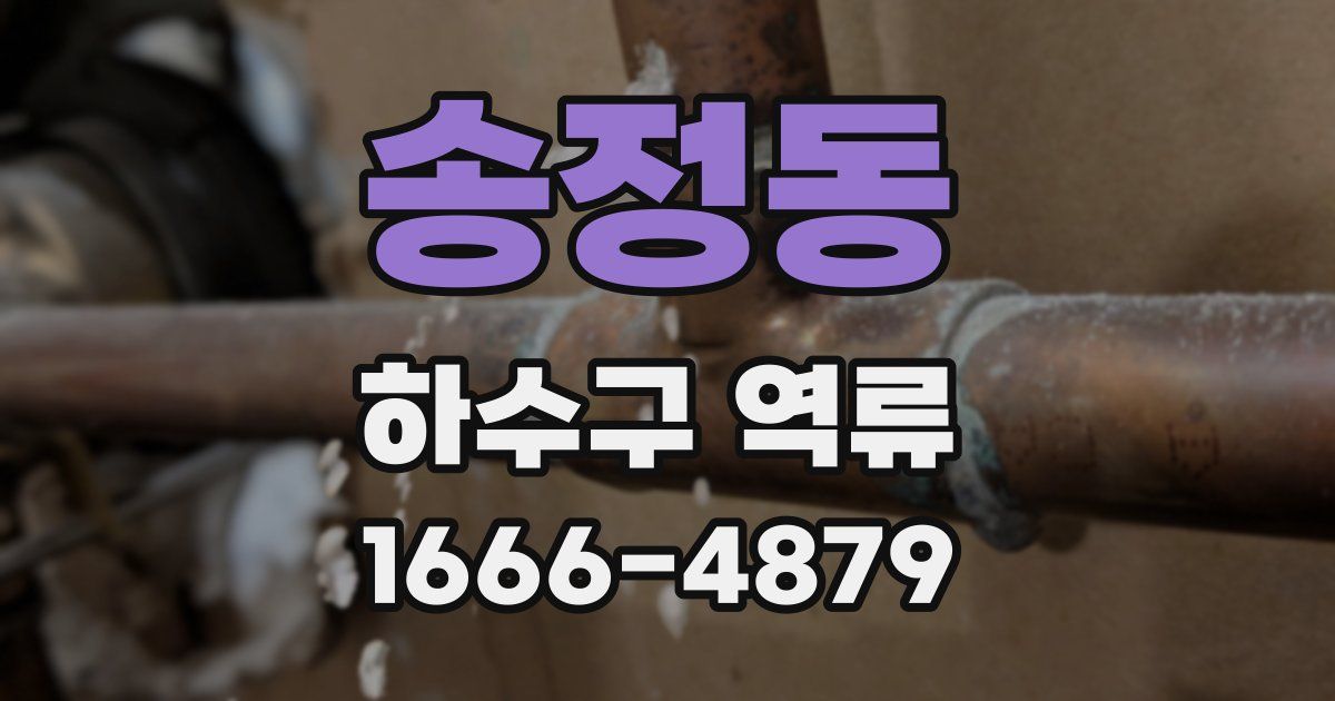 송정동 하수구 역류
