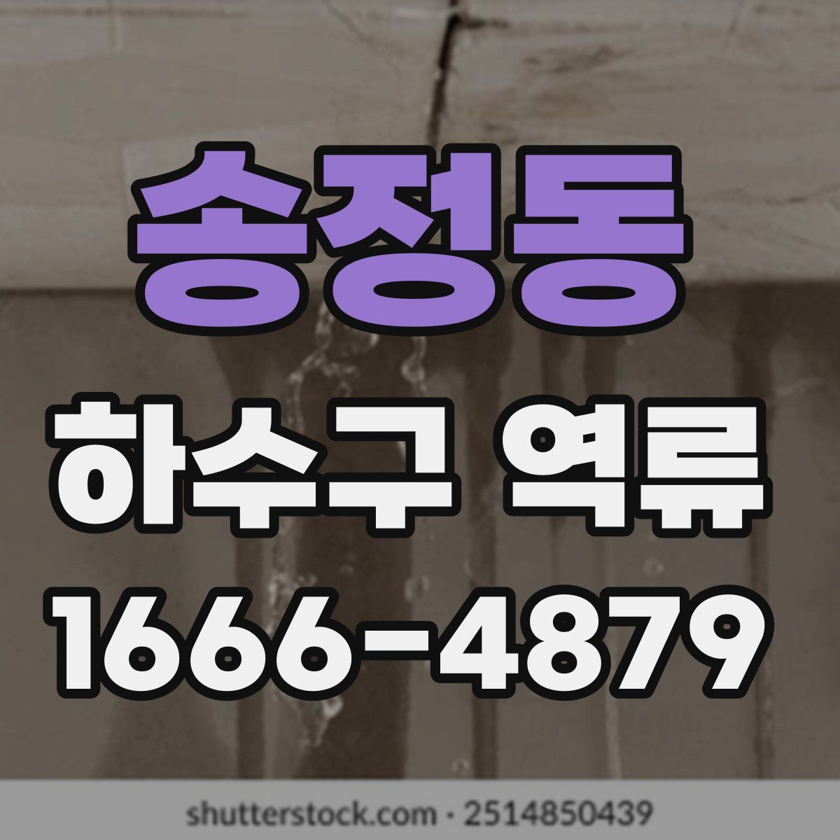 송정동 하수구 역류