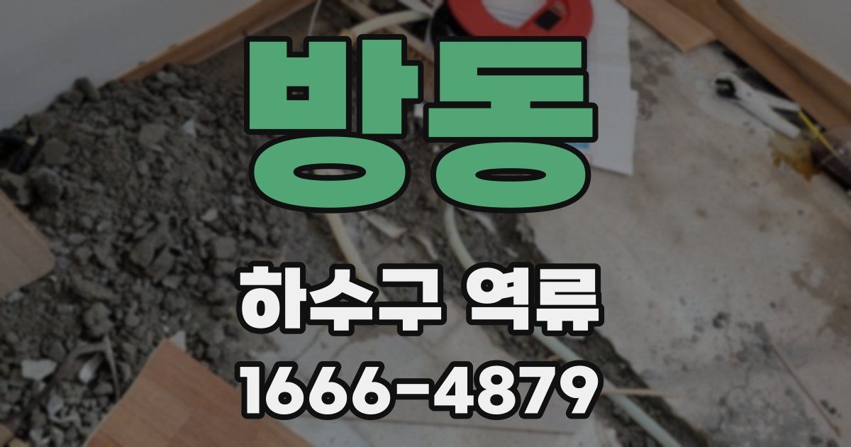 방동 하수구 역류