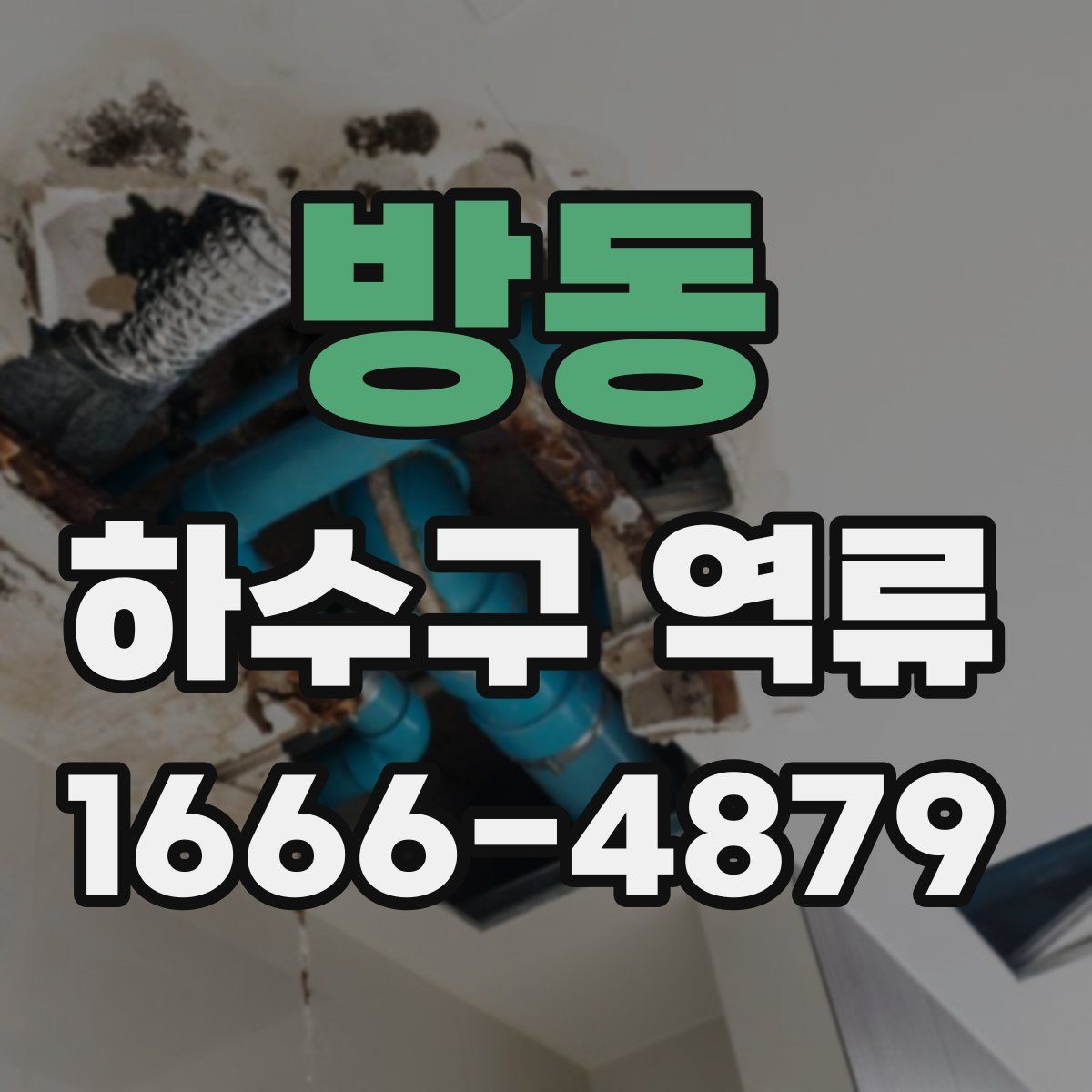 방동 하수구 역류