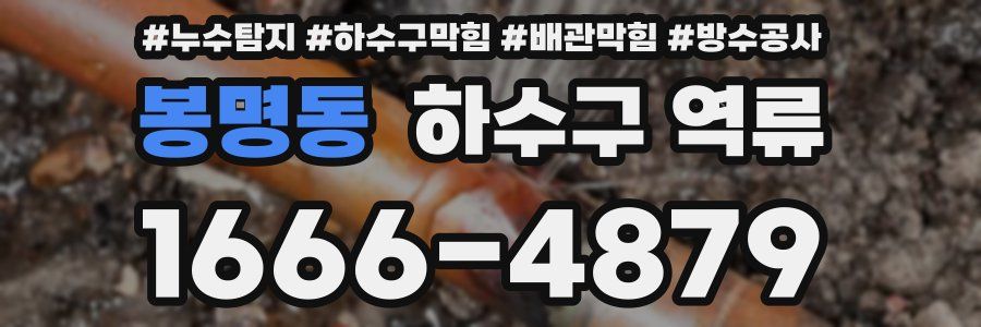 봉명동 하수구 역류