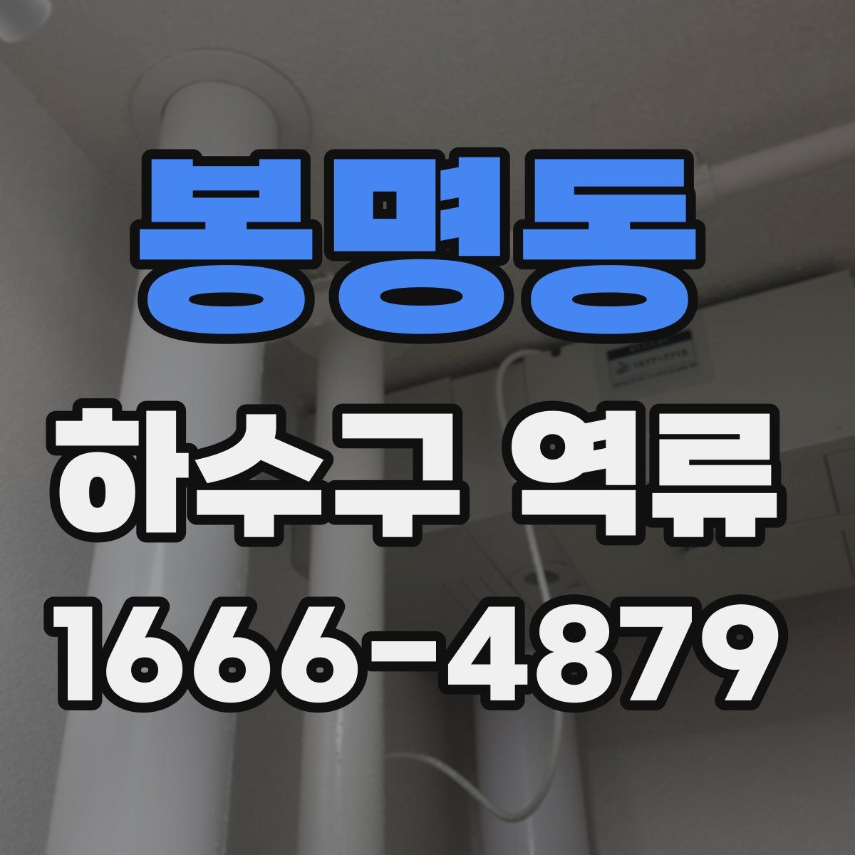 봉명동 하수구 역류