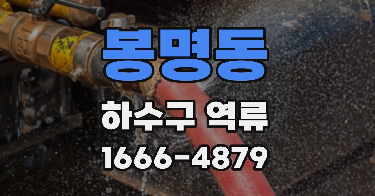 봉명동 하수구 역류