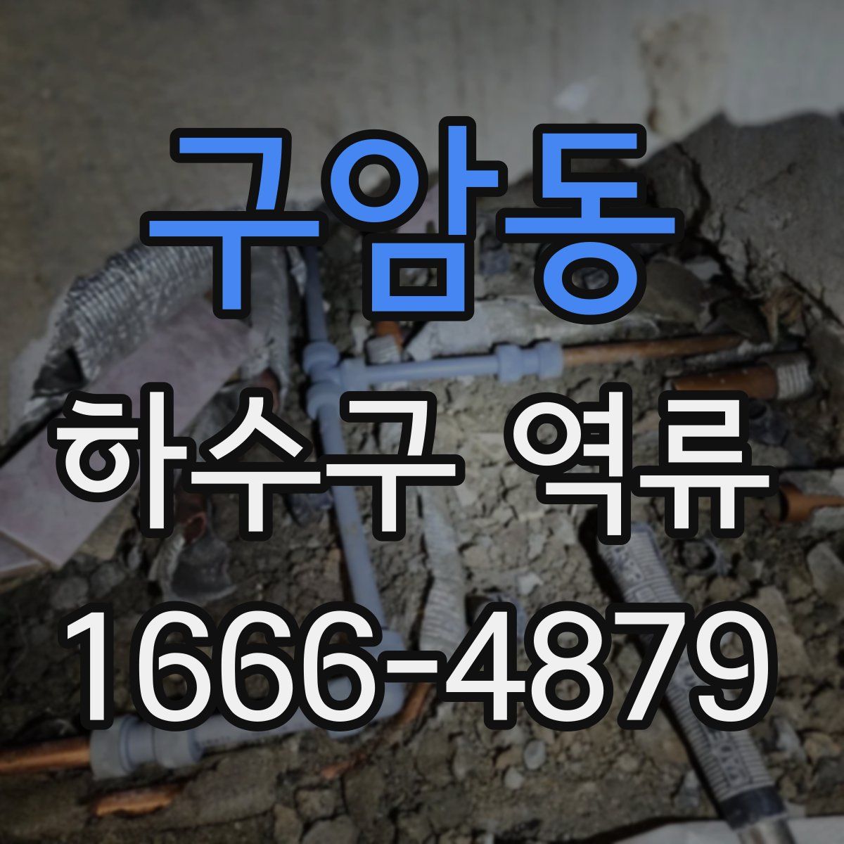 구암동 하수구 역류