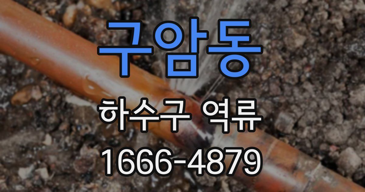 구암동 하수구 역류