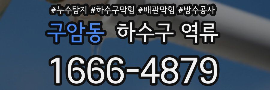 구암동 하수구 역류