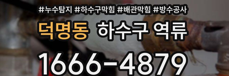 덕명동 하수구 역류