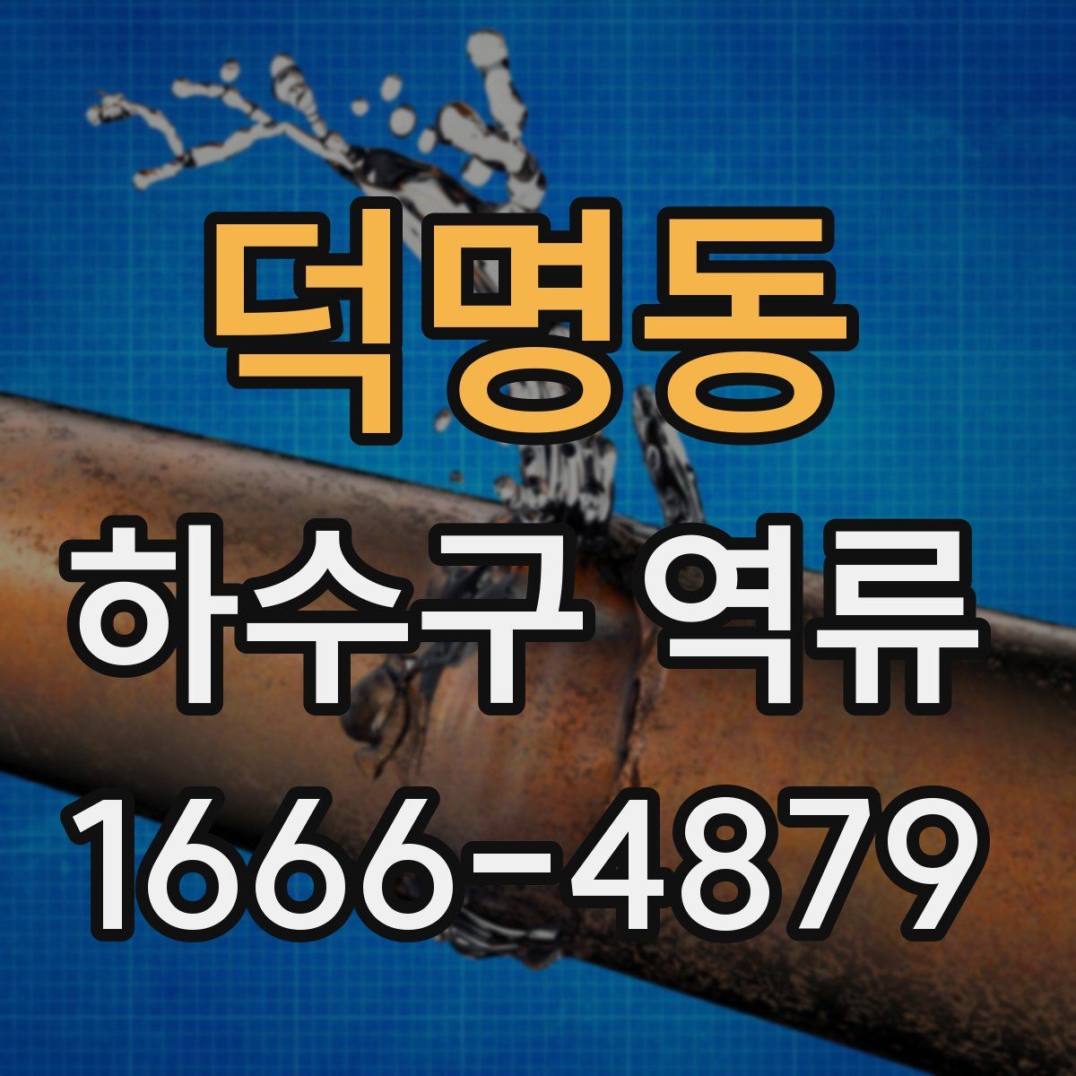 덕명동 하수구 역류