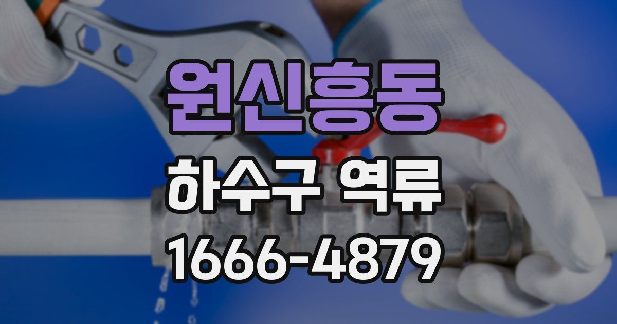 원신흥동 하수구 역류