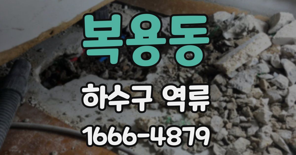 복용동 하수구 역류