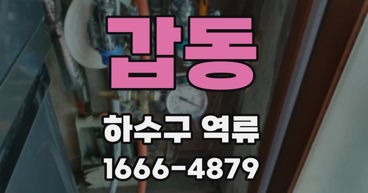 갑동 하수구 역류