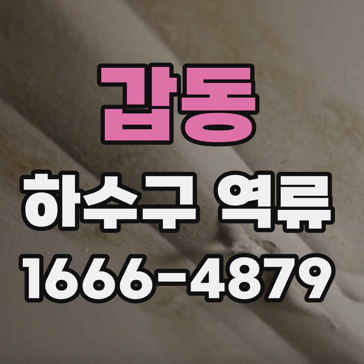 갑동 하수구 역류