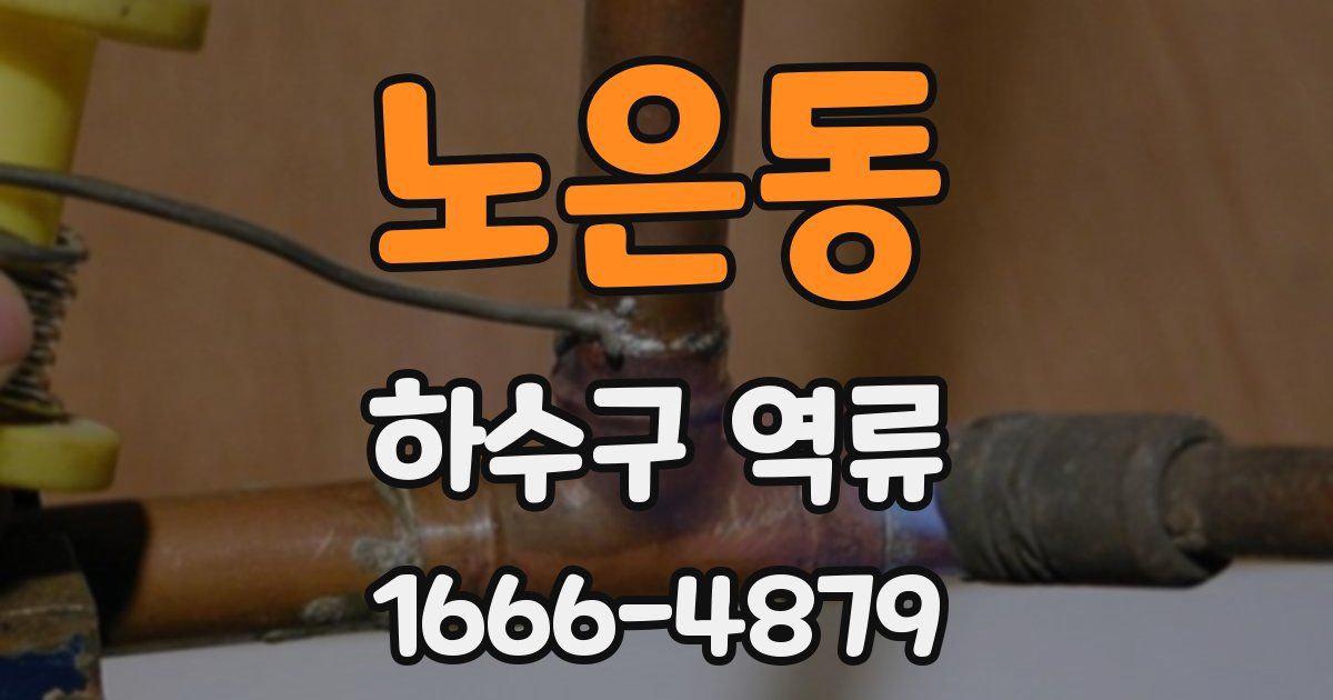 노은동 하수구 역류