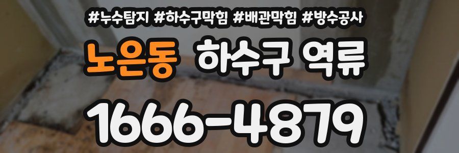 노은동 하수구 역류