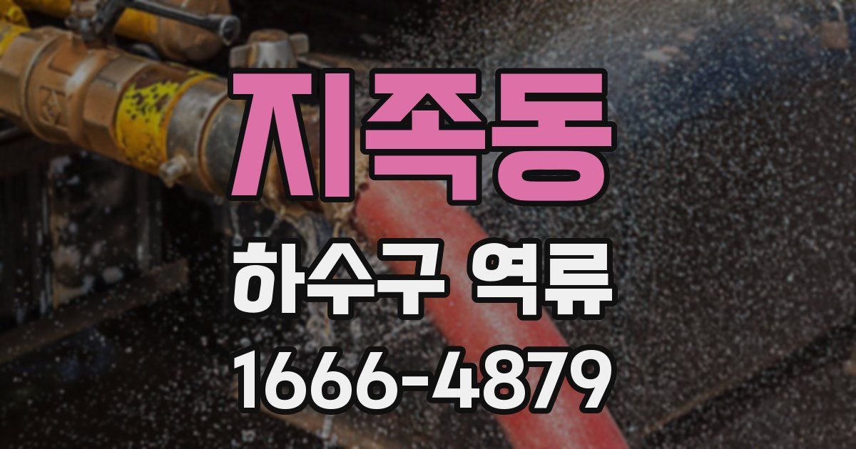 지족동 하수구 역류