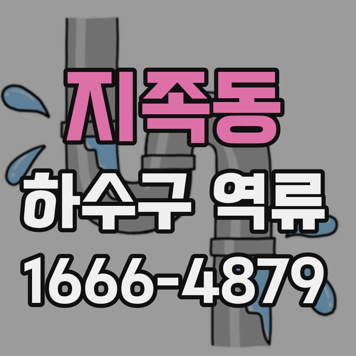 지족동 하수구 역류