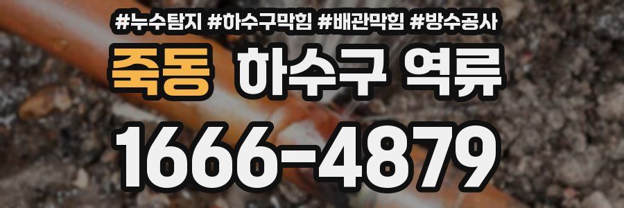 죽동 하수구 역류