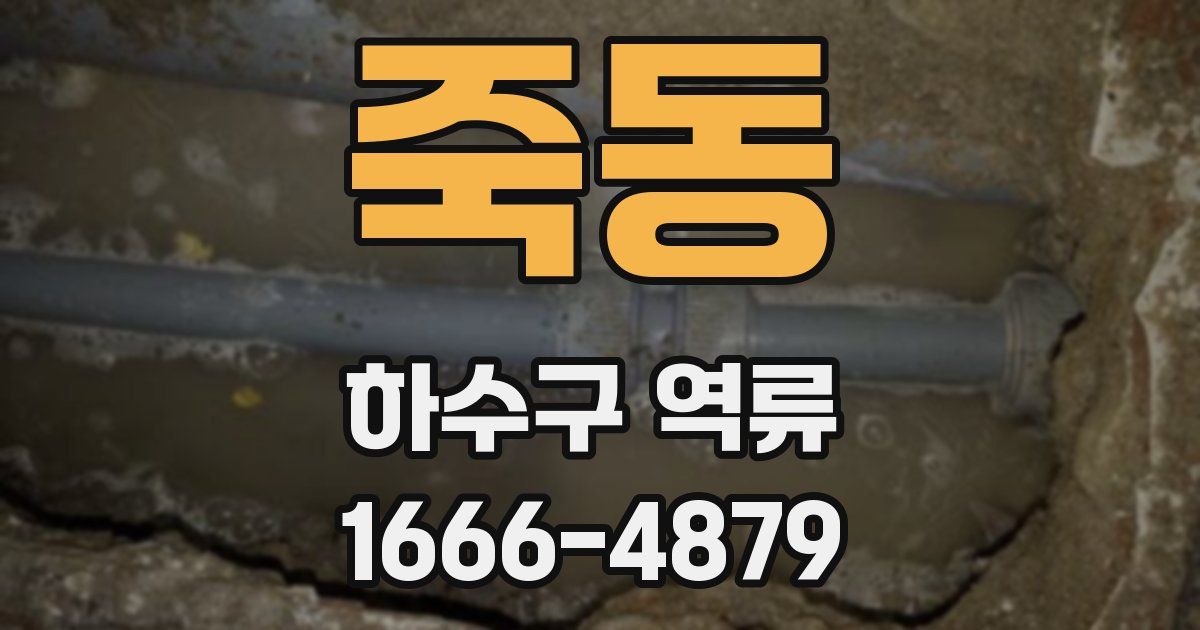 죽동 하수구 역류