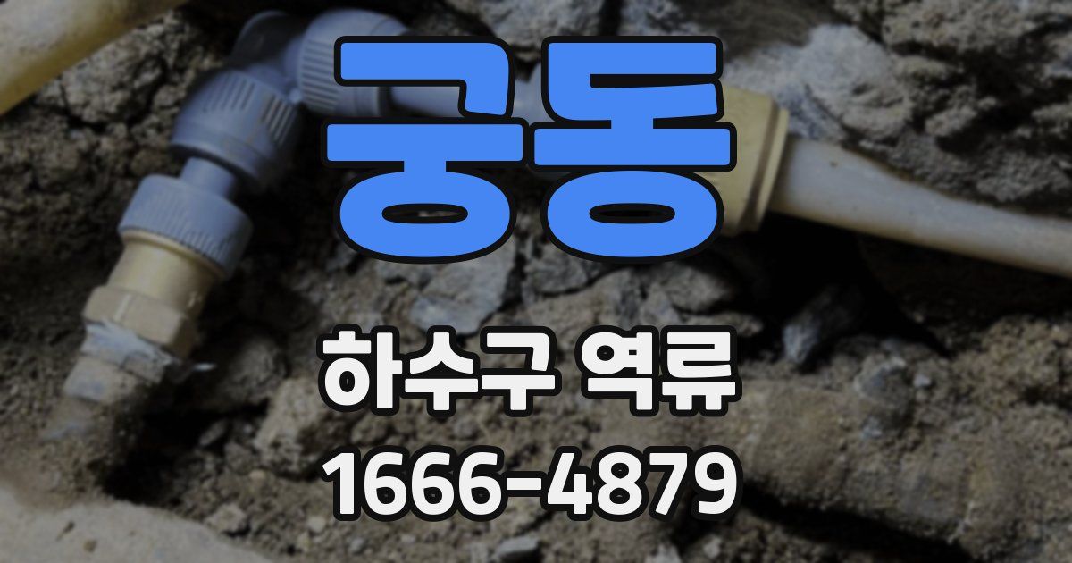 궁동 하수구 역류