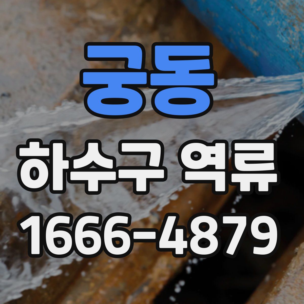 궁동 하수구 역류