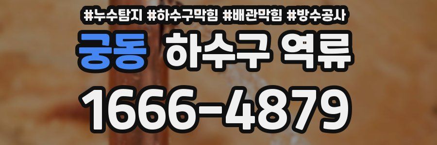 궁동 하수구 역류
