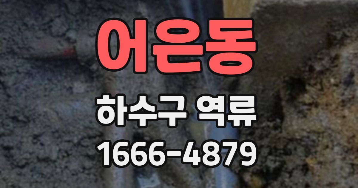 어은동 하수구 역류