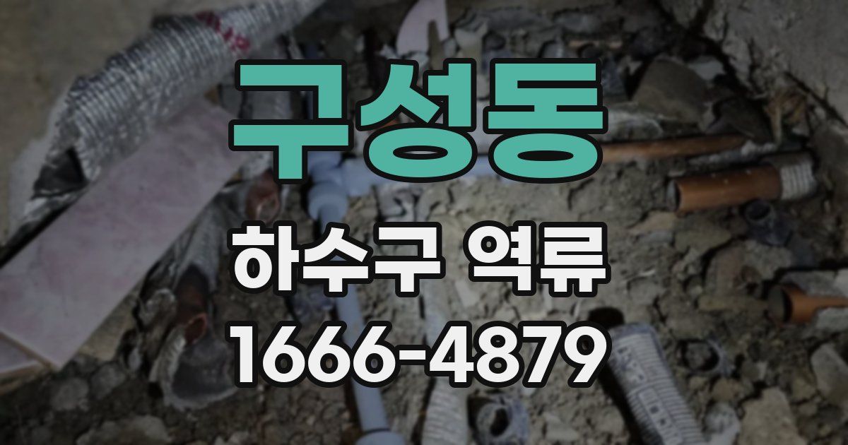 구성동 하수구 역류