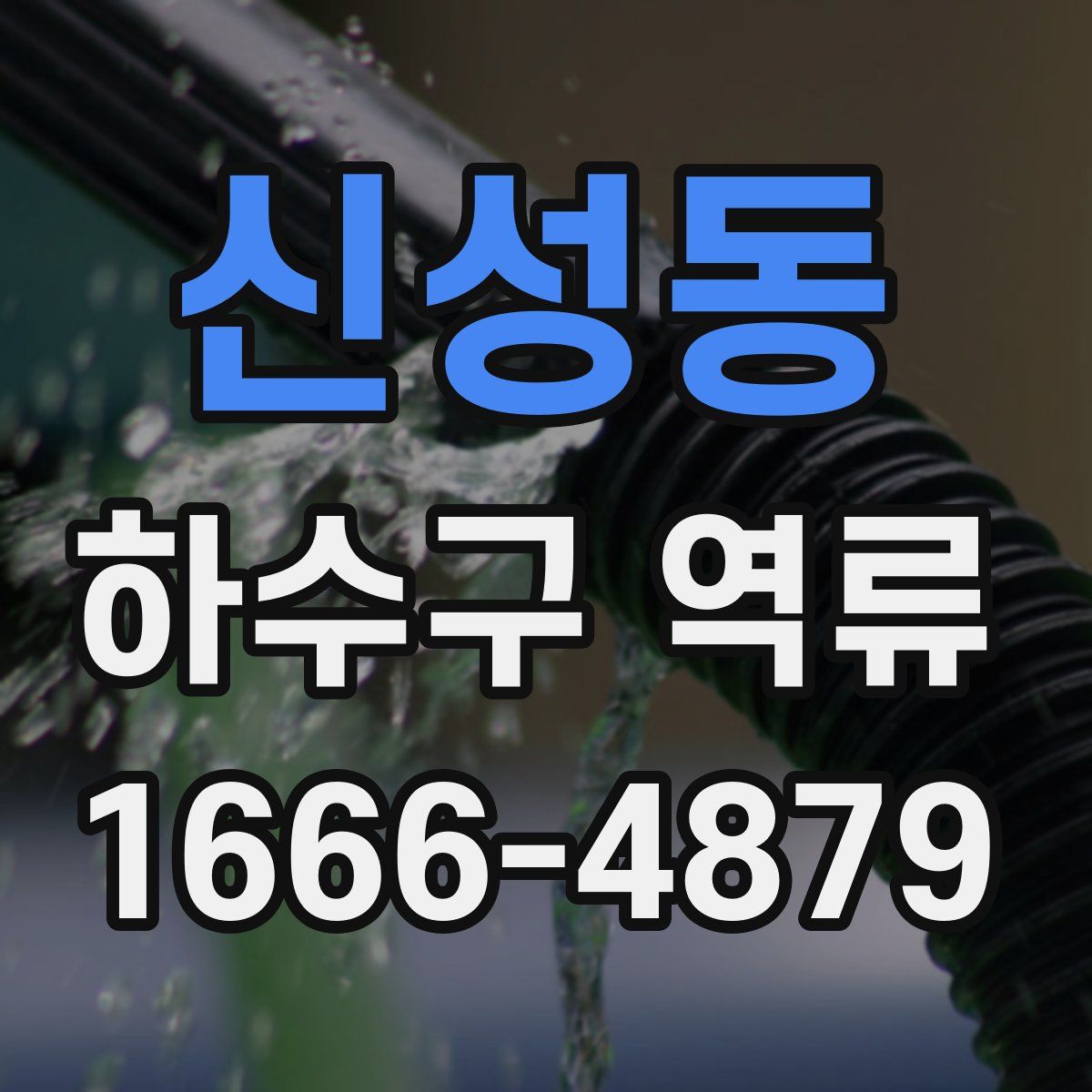 신성동 하수구 역류