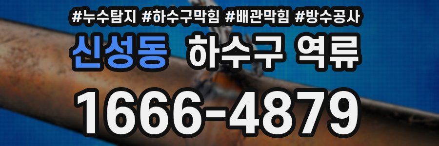 신성동 하수구 역류