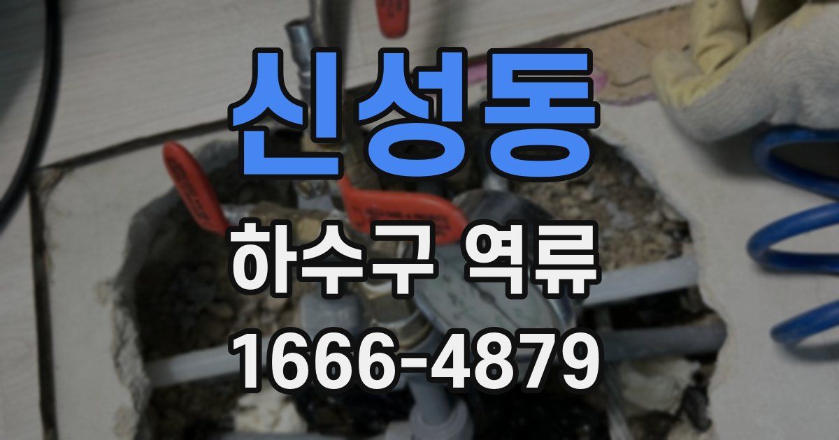신성동 하수구 역류