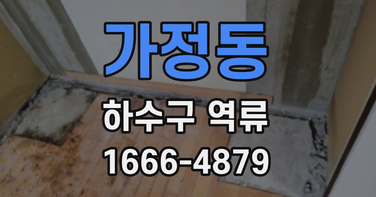 가정동 하수구 역류