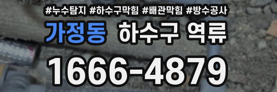 가정동 하수구 역류