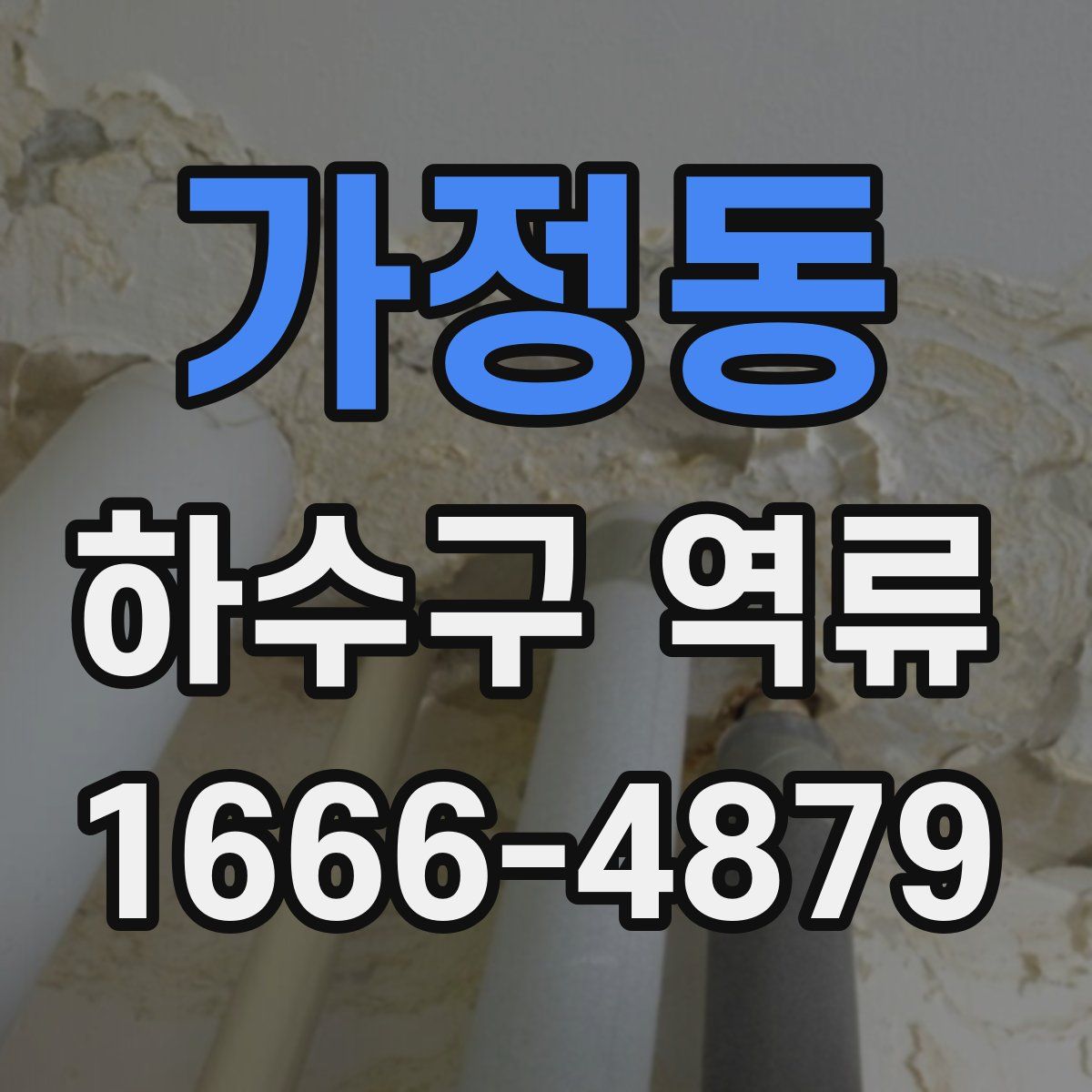 가정동 하수구 역류