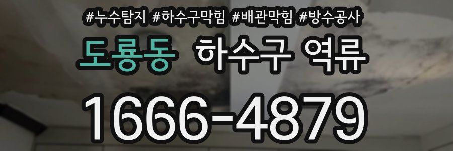 도룡동 하수구 역류