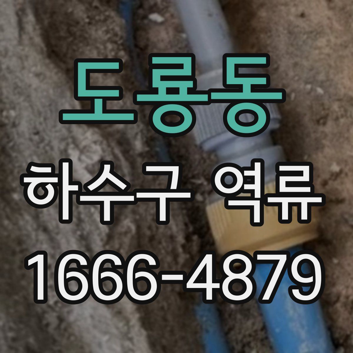 도룡동 하수구 역류