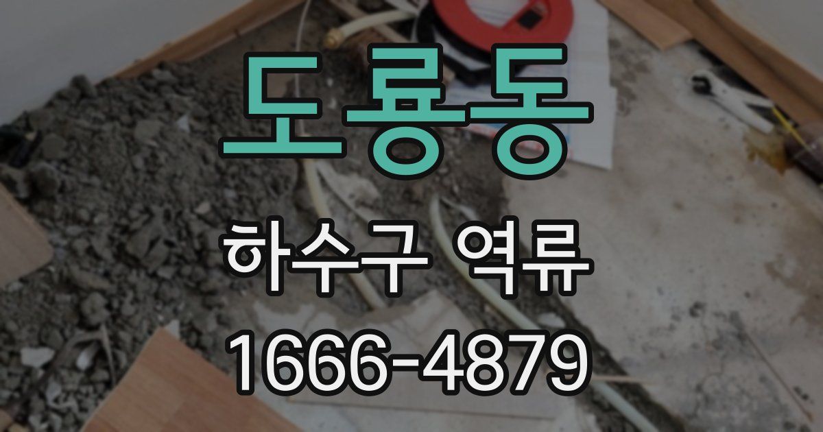 도룡동 하수구 역류