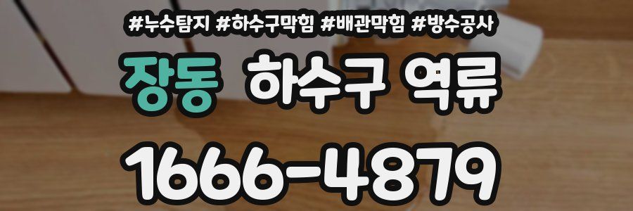 장동 하수구 역류