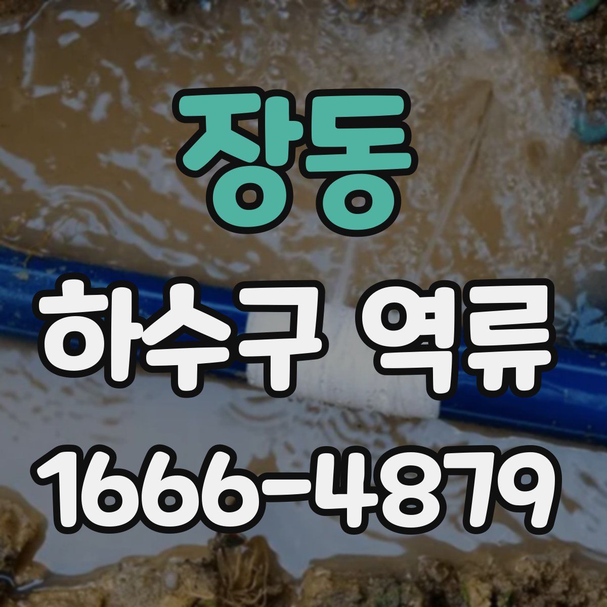 장동 하수구 역류