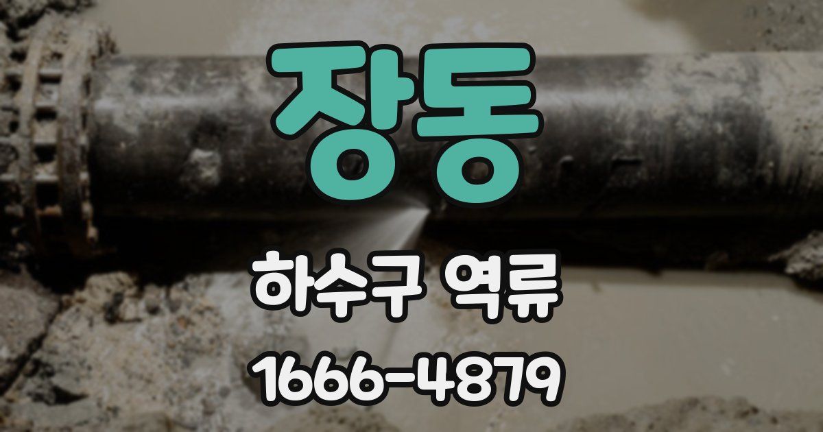 장동 하수구 역류
